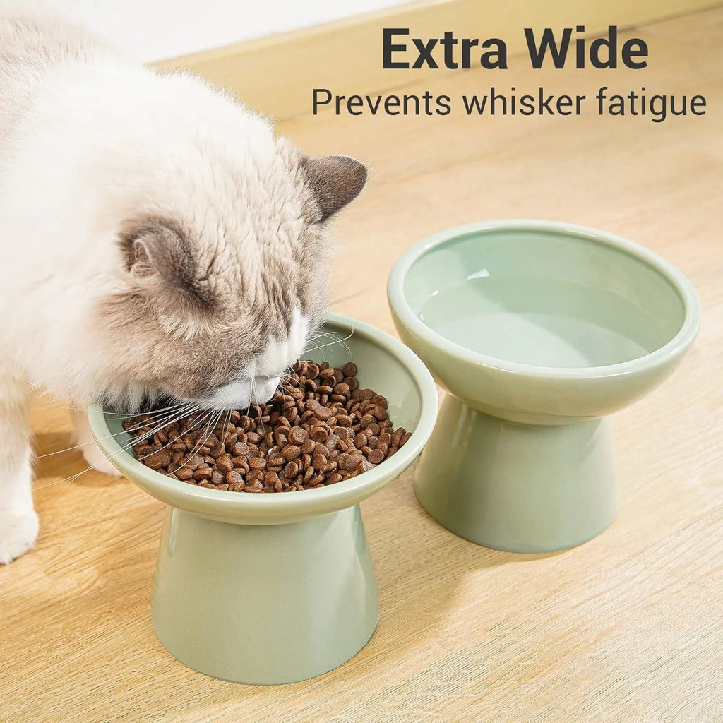 Ceramic elevated cat food and water bowl set in blue, showing wide shallow dish and raised base.