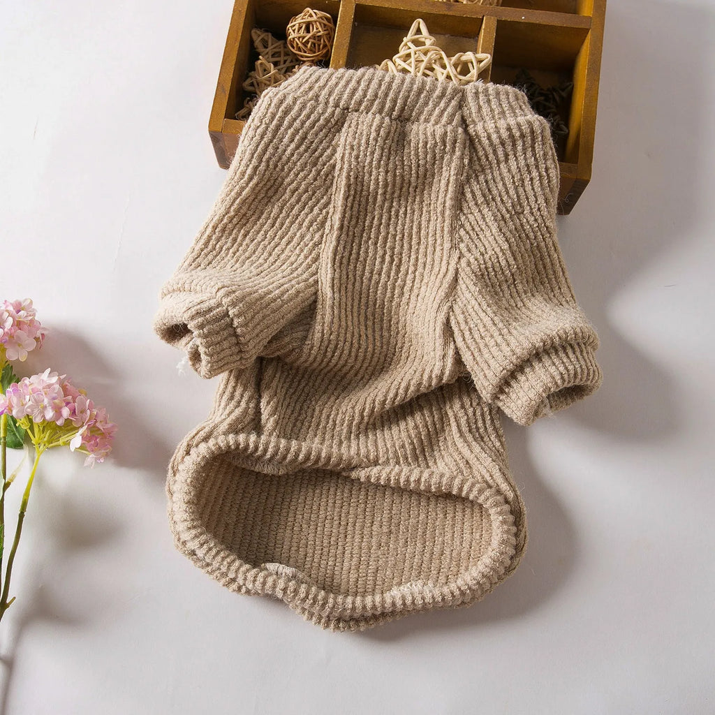 Brown cloth dog sweater pullover on a small breed dog.