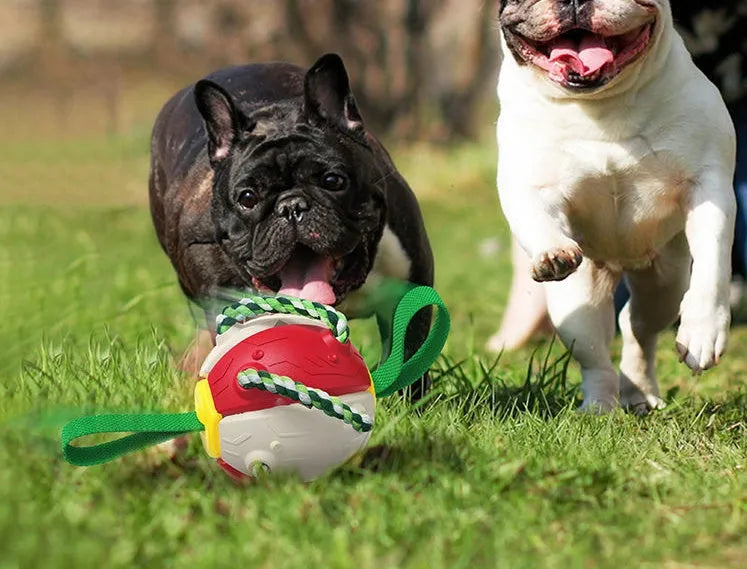 Interactive dog football soccer ball with tabs, flattened into frisbee shape, with woven nylon rope and cotton chewing rope, on grass.