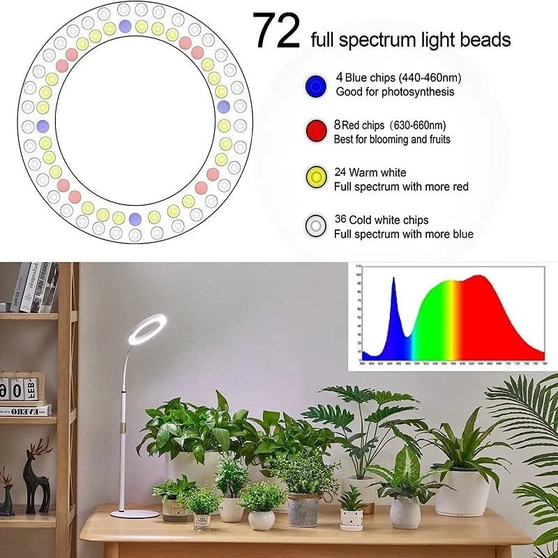 6-inch diameter Angel Ring grow light on a retractable floor stand, for indoor houseplants.