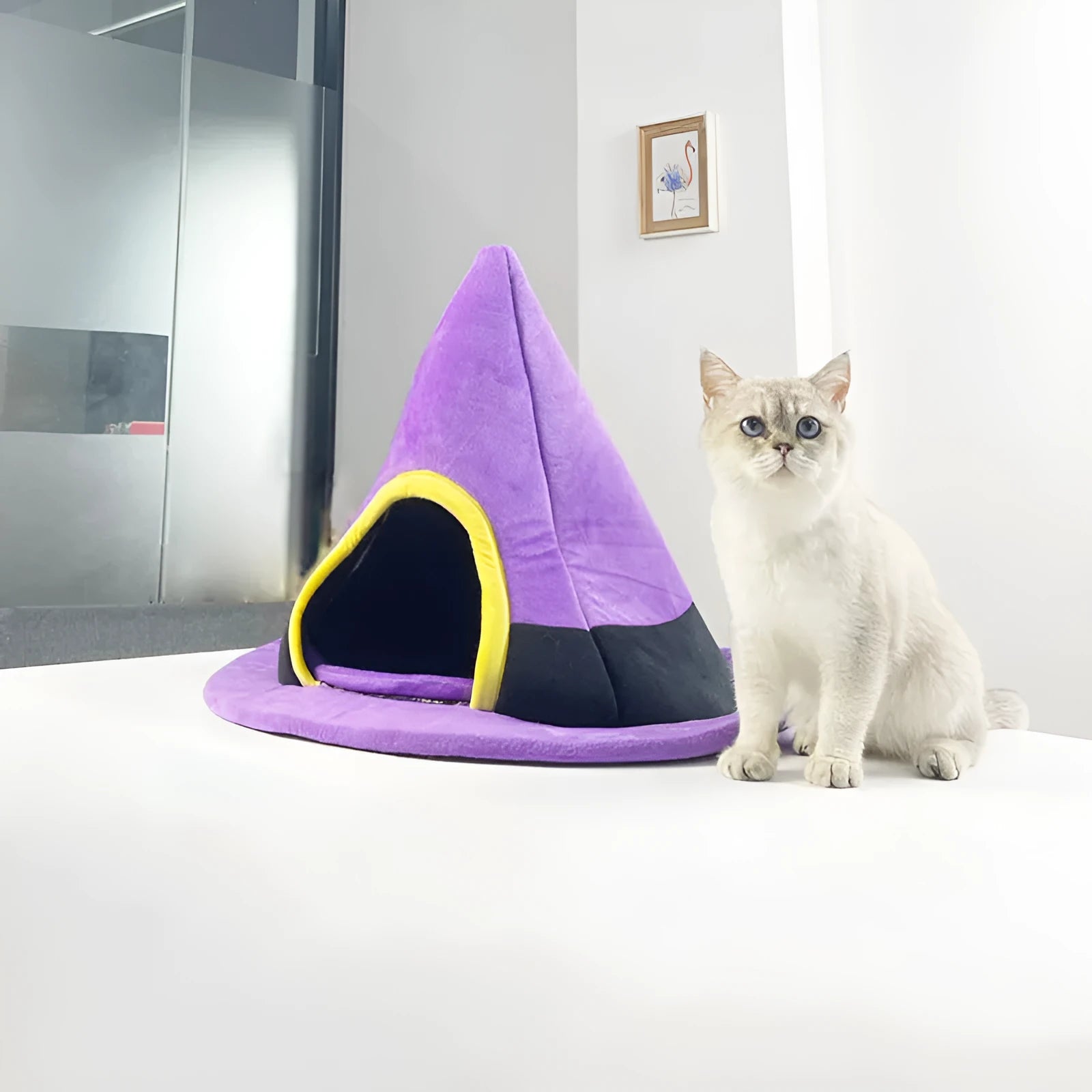 Purple cloth Halloween witch hat shaped cat bed measuring 60 by 45 cm.