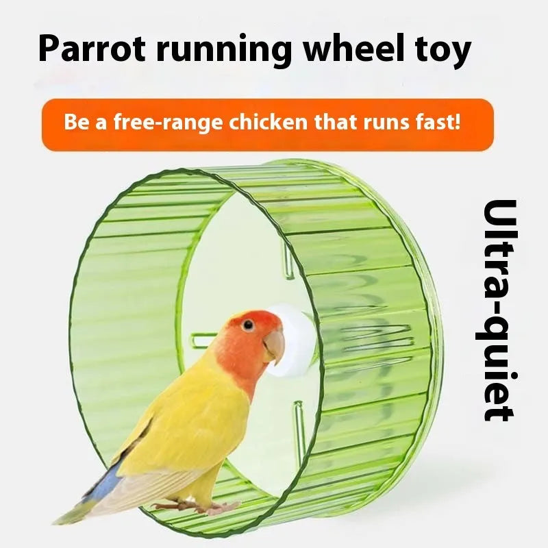 A plastic parrot running wheel exercise toy shown in a transparent colour.