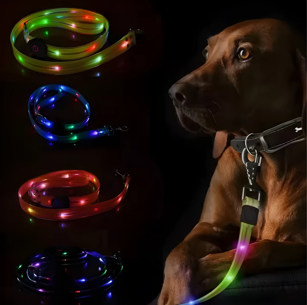 Luminous fluorescent PVC dog leash in orange, shown with hand holding loop.
