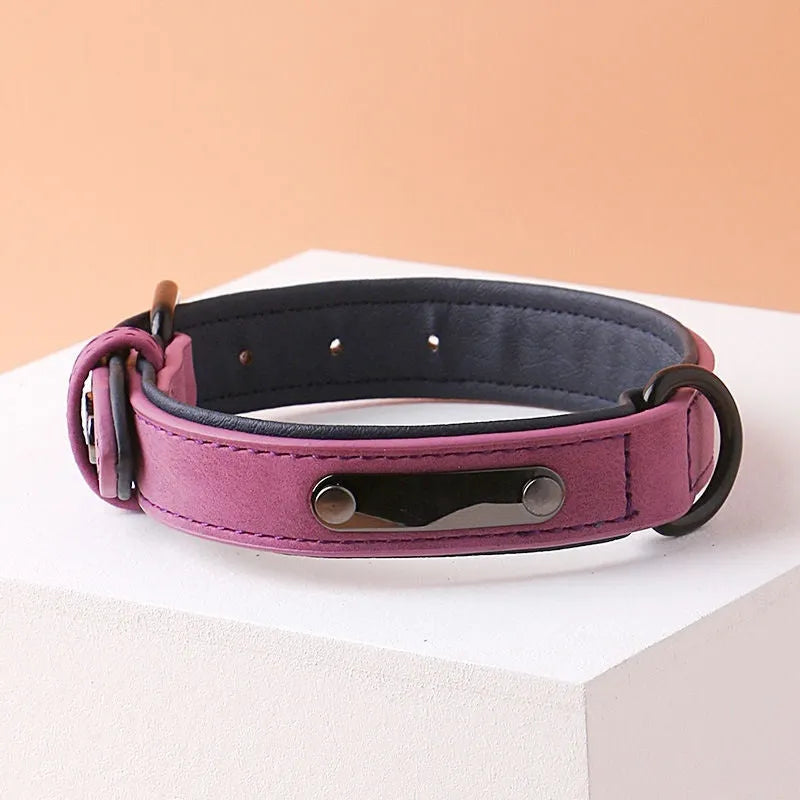 Adjustable dog collar with buckle fastening in purple colour showing double-layer construction