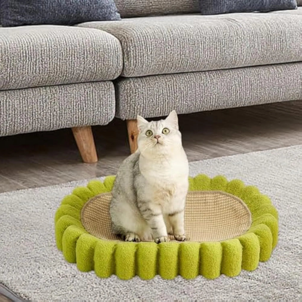 Green oval-shaped cat scratching pad serving as a bed with a sisal surface