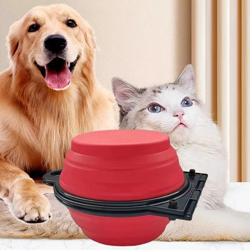 Blue folding silicone double pet bowl with two compartments for dog or cat food and water