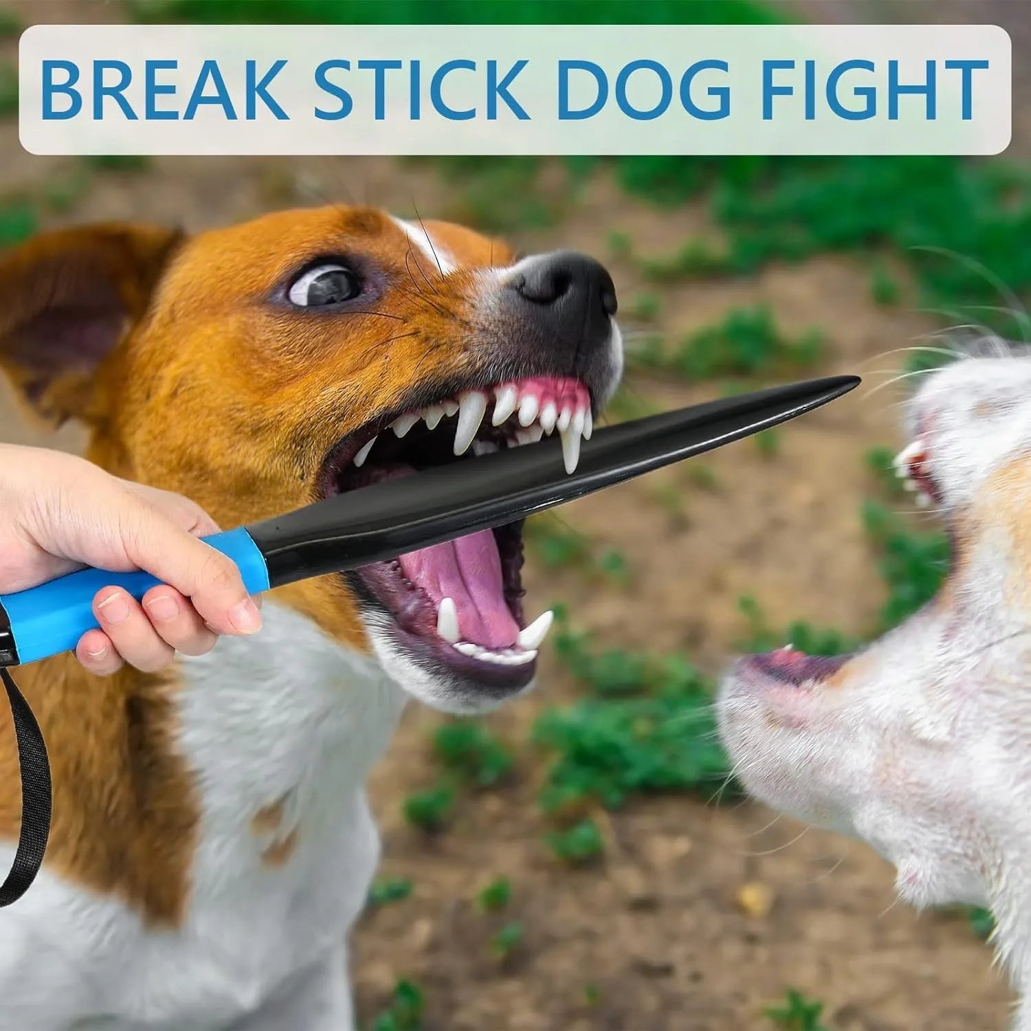 Blue-handled nylon dog bite training stick measuring 35cm in length for small and medium breeds.