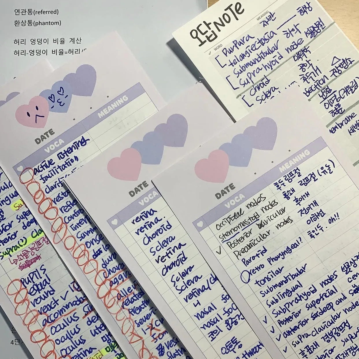 Vertical half-B5 notepad with printed lines for English words, in blue cover.