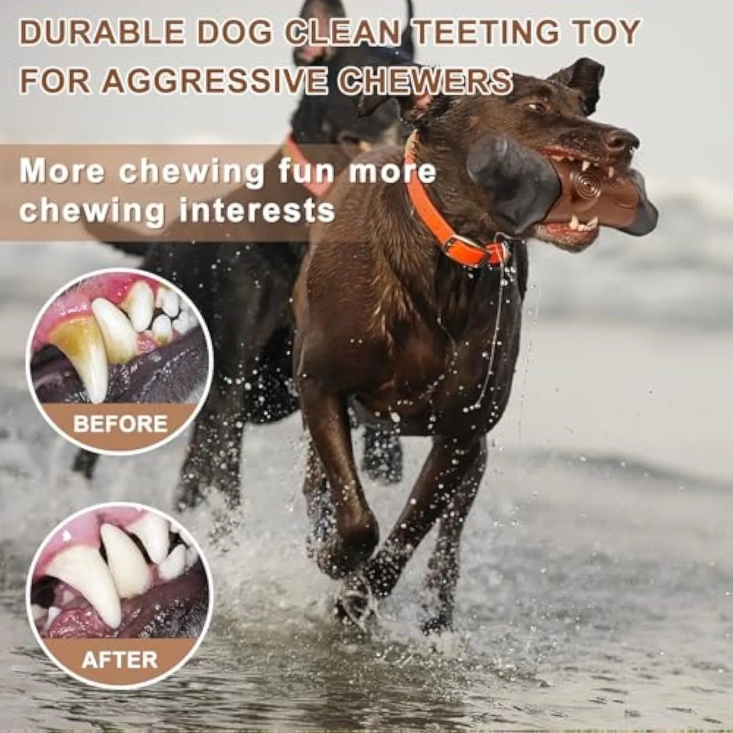 Branch-shaped nylon dog chew toy with bacon flavour and squeaker for large dogs.