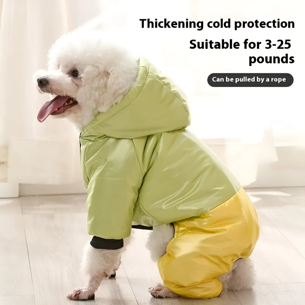 Green waterproof four-legged dog coat with cotton padding on a medium-sized dog