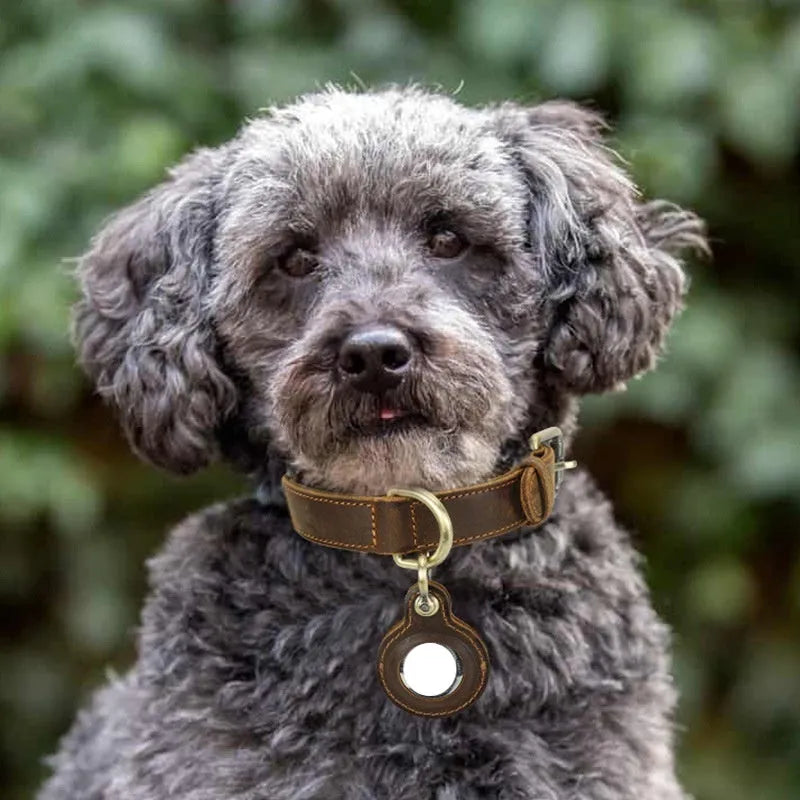 Brown genuine leather retro dog collar with a handmade halter for positioning.