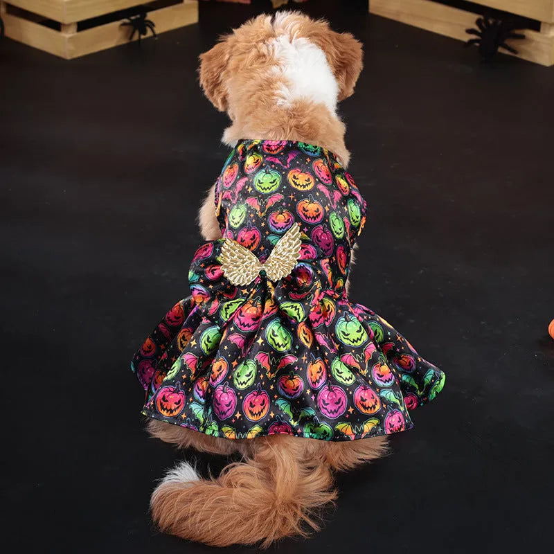 Dog wearing an orange angel wings Halloween costume with a bright pumpkin design.