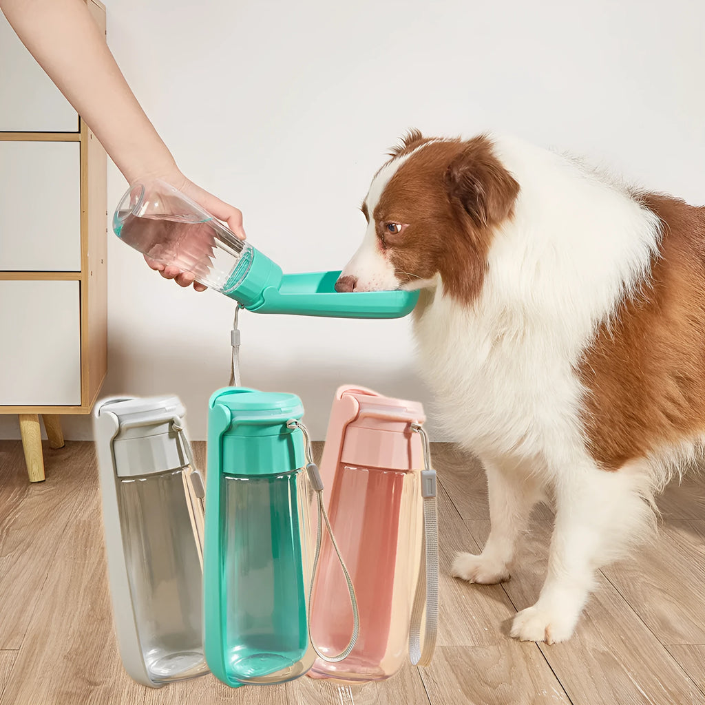 Portable folding dog water bottle 550ml in Lake Blue, with cup top, on outdoor background