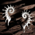 Conch three-dimensional matte stud earrings with exaggerated alloy design and electroplated finish