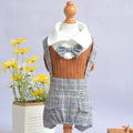 Orange cotton dog shirt shown on small breed pet, demonstrating suit-style pet clothing