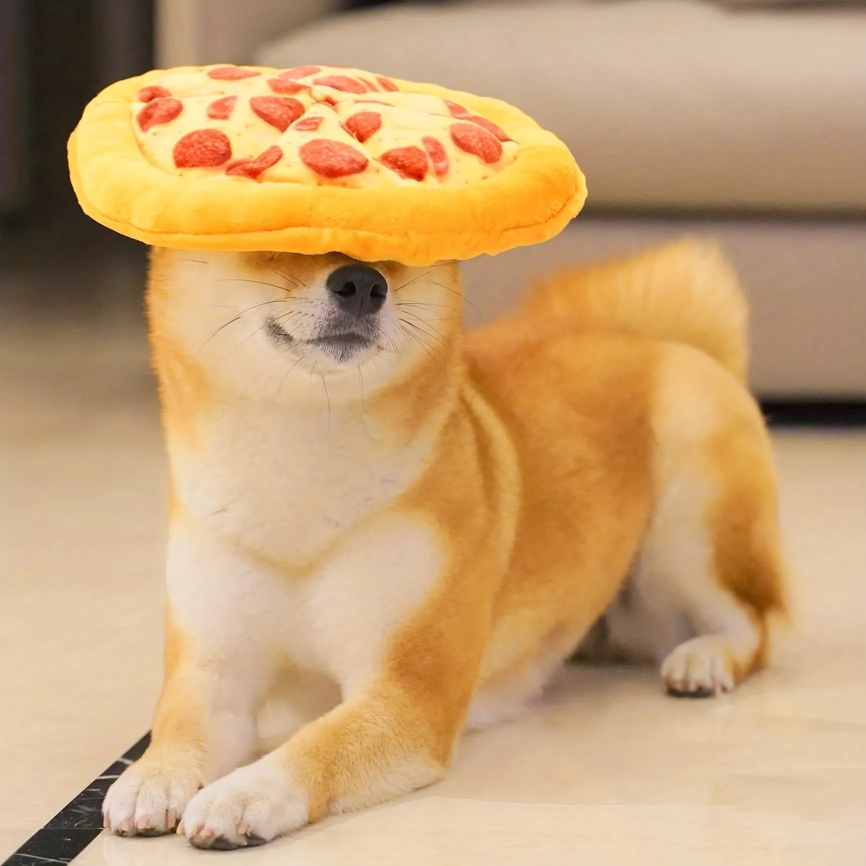 Yellow pizza slice plush dog chew toy with textured grinding surface