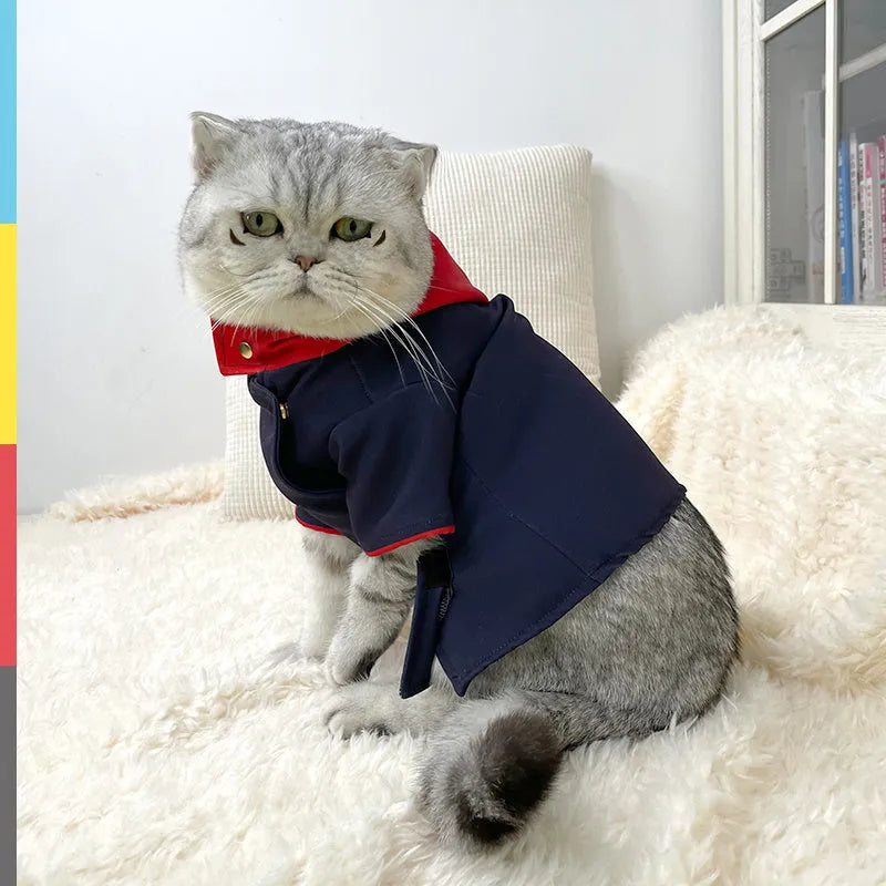 Tiger Staff Yuren coloured pet hoodie for dogs or cats, shown as a small or medium sized photo prop.