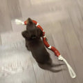 Brown pet hand rope leash with large sausage-shaped chew toys, measuring 108cm total length with grip tape section
