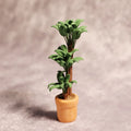 Simulation green plant coin bank money tree 3D printed PLA piggy bank whole tree colour front view