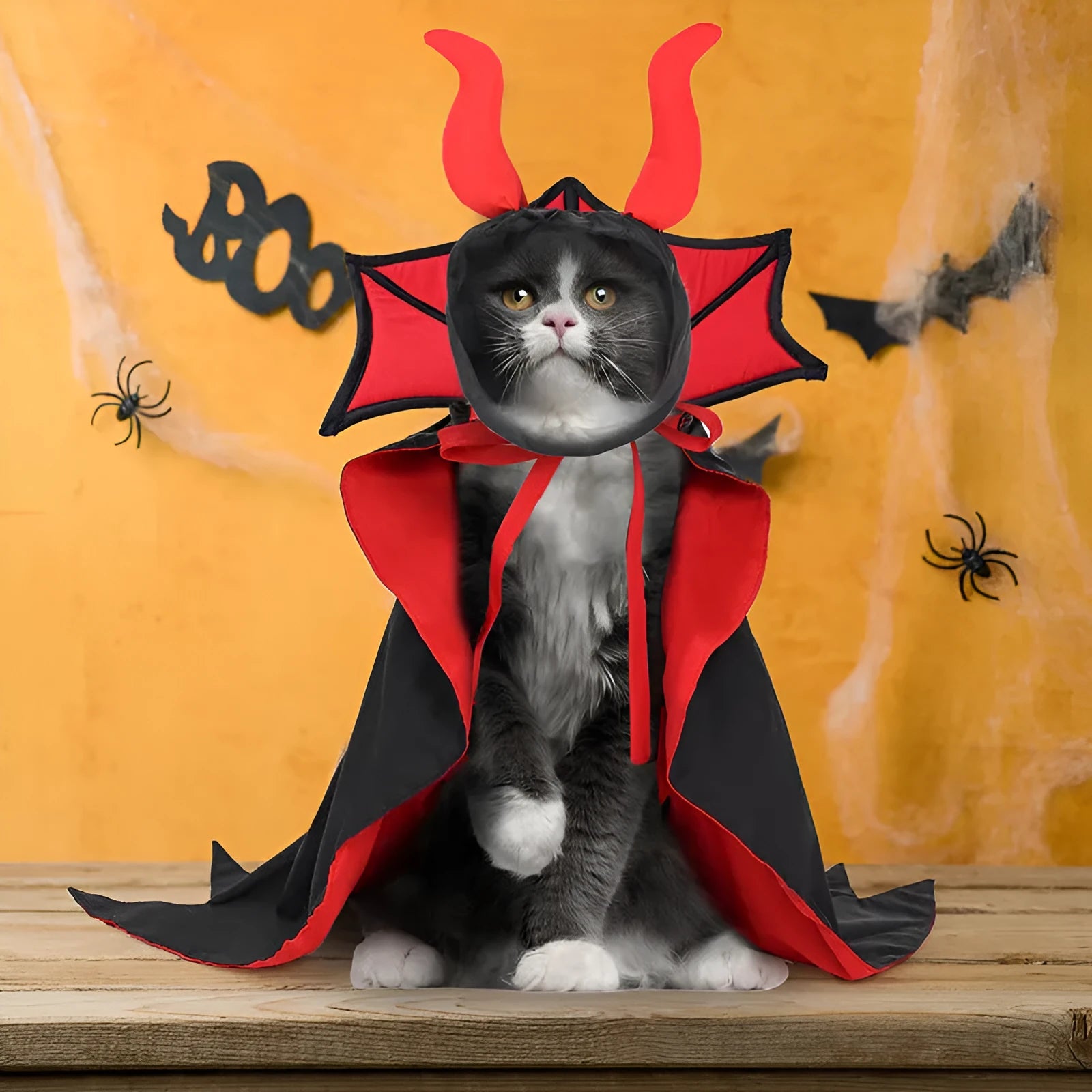 Black polyester vampire cloak and hat pet costume set for cats and small dogs
