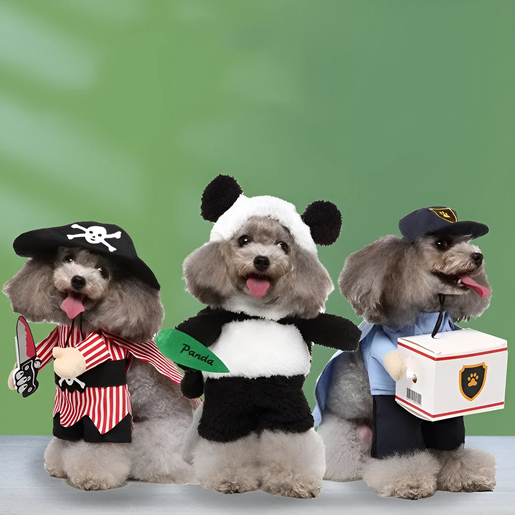 European and American style polyester pet costume in raccoon colour on a small dog