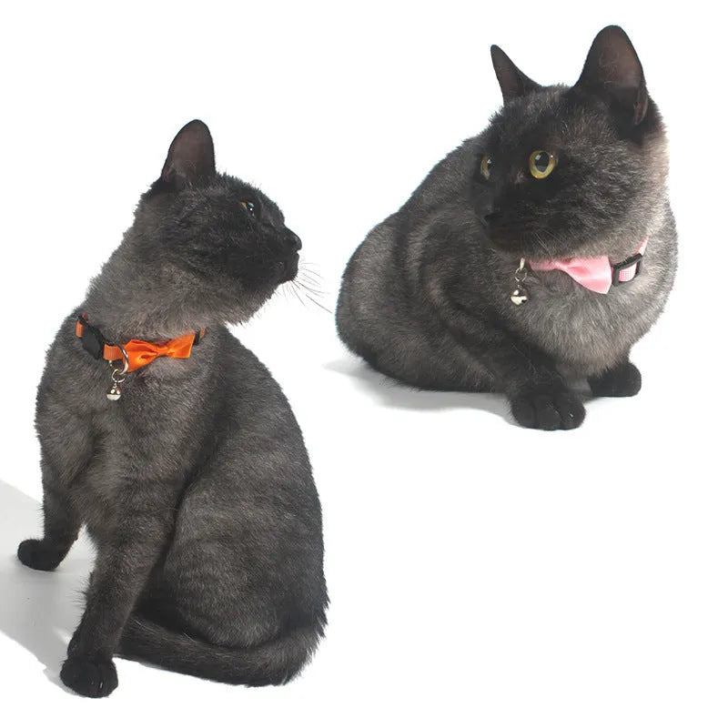 Colourful striped nylon bow collar for cats with an adjustable strap and small bell attached.