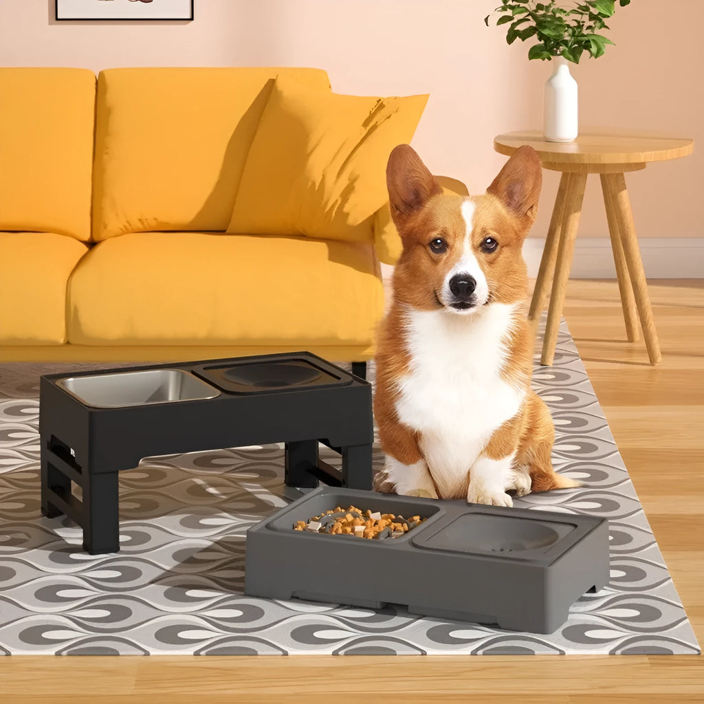 Adjustable height black dog bowl stand with two stainless steel food and water bowls