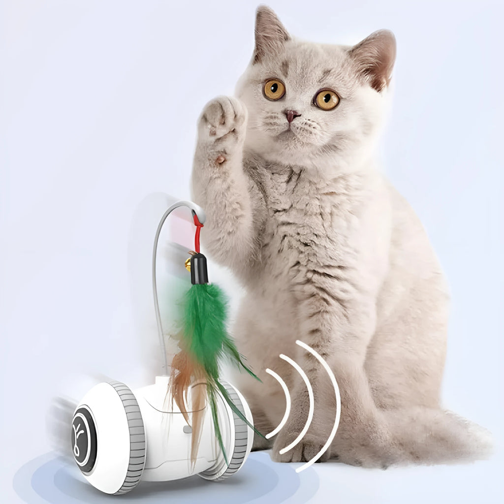 Interactive cat toy with interchangeable heads automatic robotic toy with feather accessory in white and grey ABS plastic