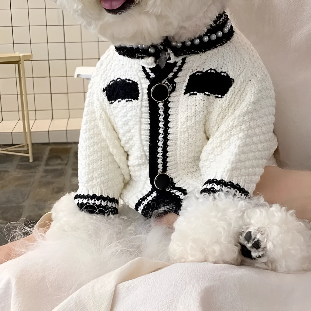 Korean style white pearl collar dog sweater on small puppy showing princess-style pet clothing