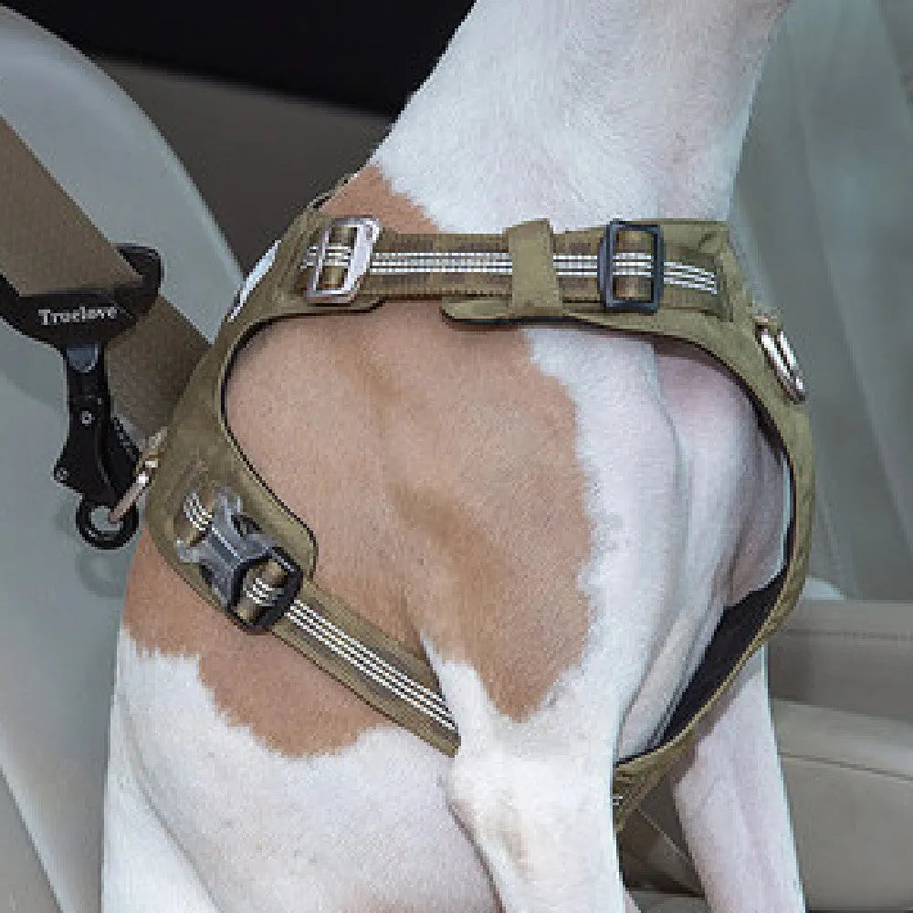 Aluminium alloy pet safety buckle for car seat belt, 12.5cm x 7cm, black colour