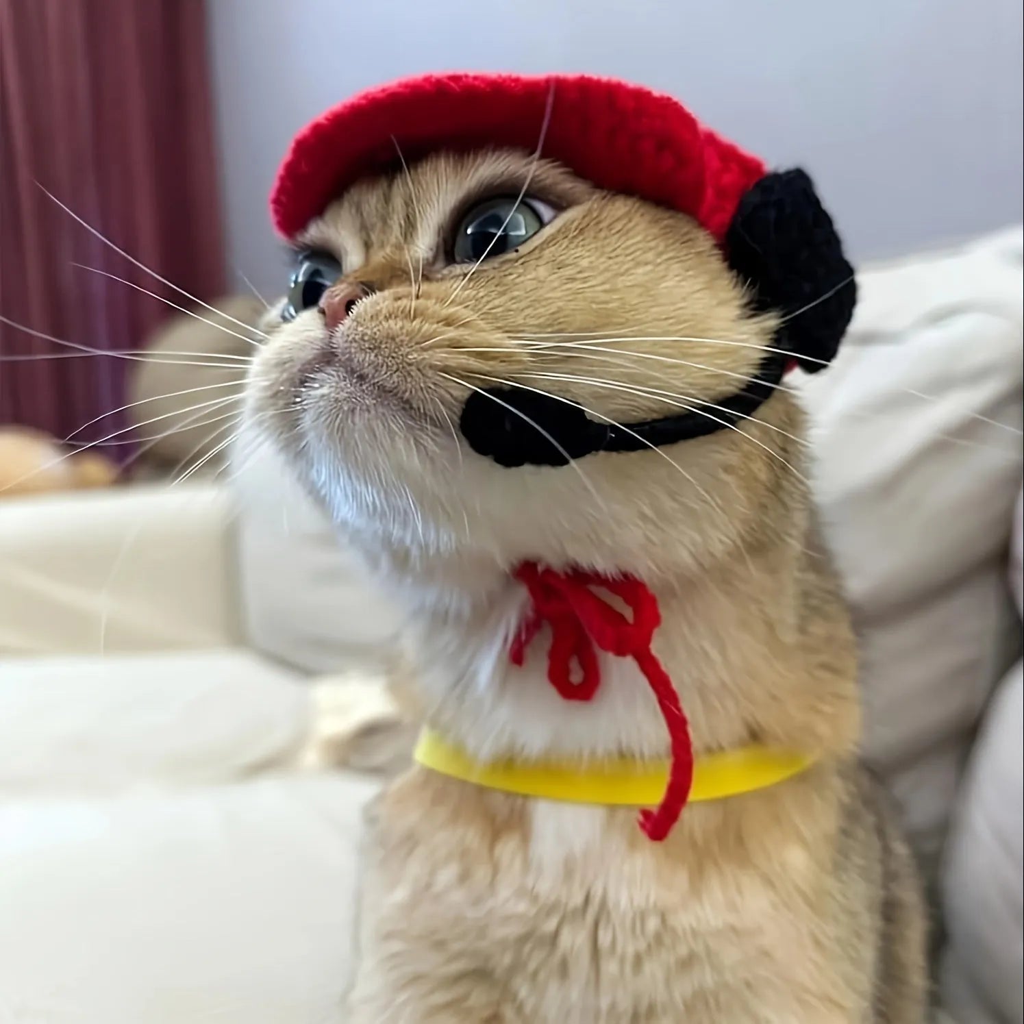 Handmade cat chef hat and cotton knitted sweater set for small to medium pets