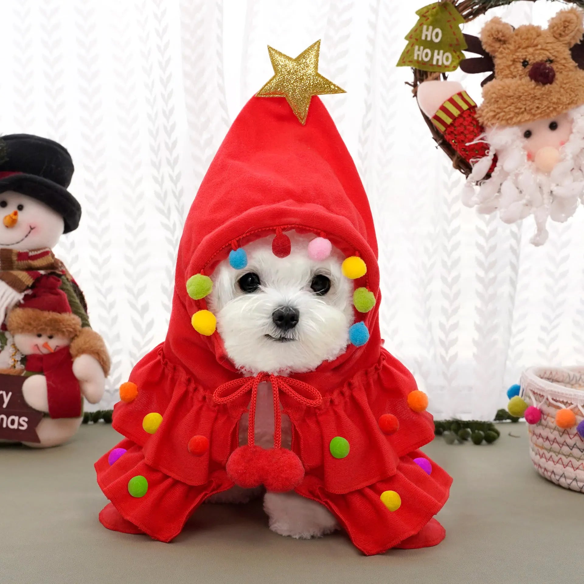 Cat wearing Christmas tree costume with star ornament in green