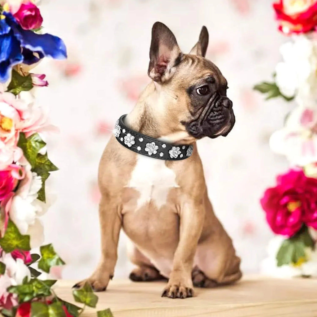 Black PU leather dog collar with studded rhinestone flower pattern and metal D-ring.