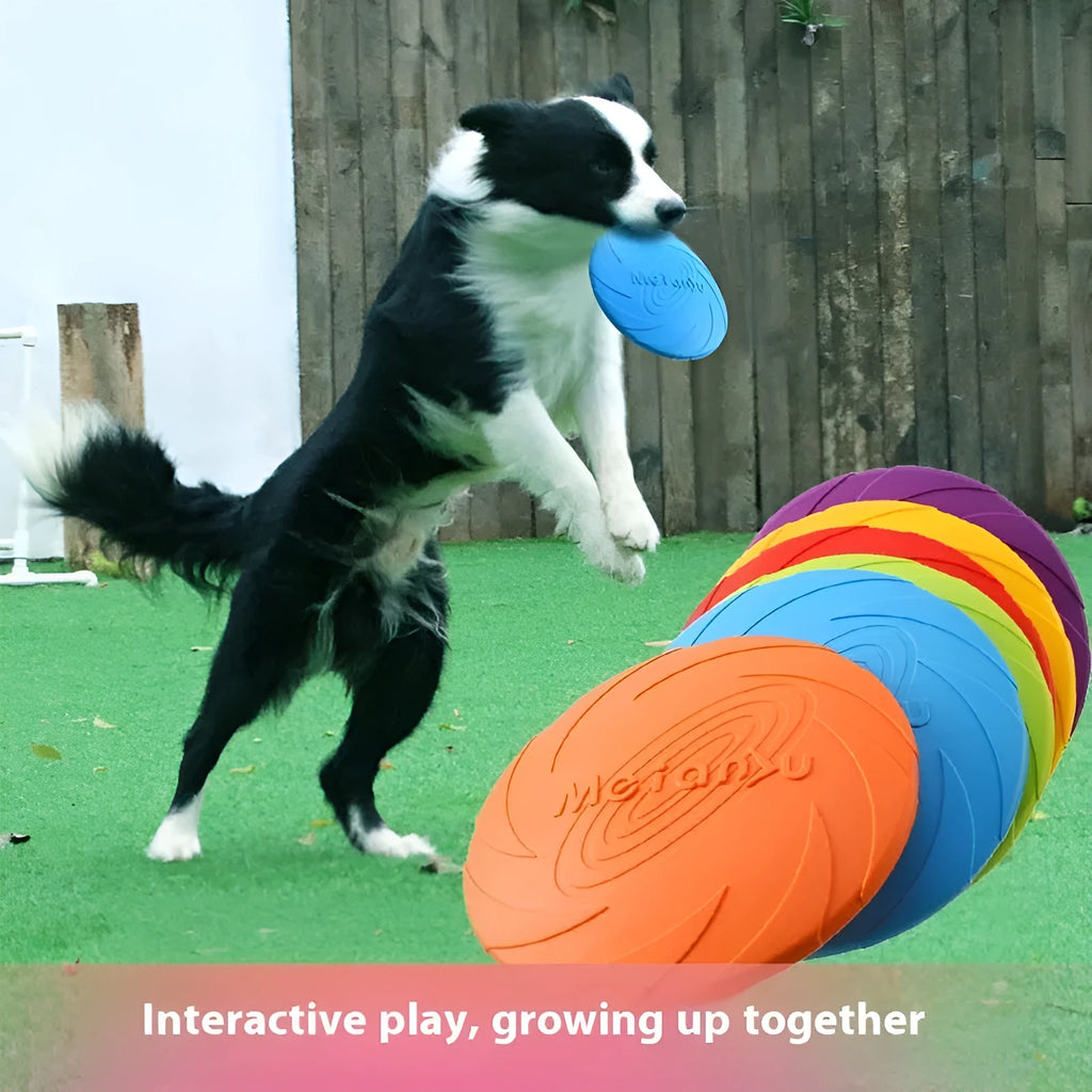 Dog's Base soft rubber outdoor frisbee toy in blue, showing flexible construction and frisbee shape