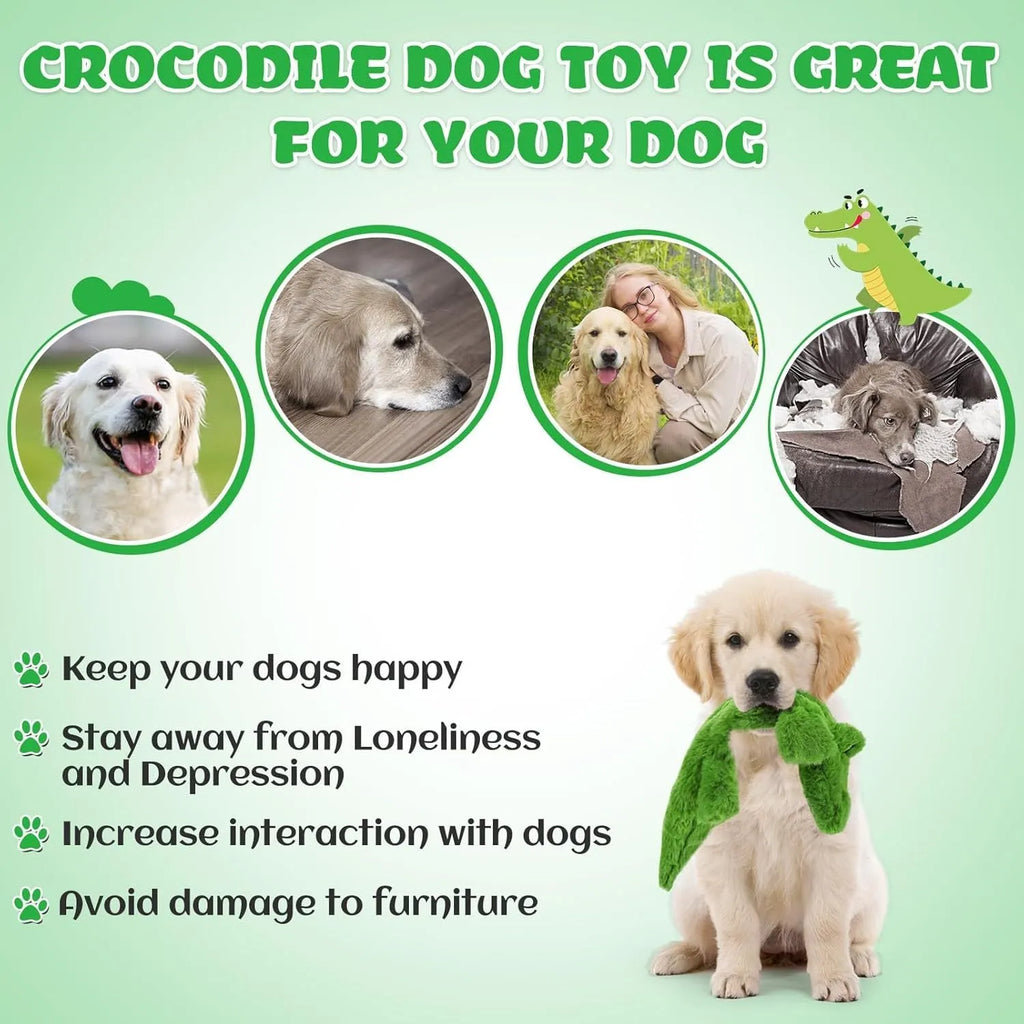 Green crocodile-shaped dog toy with squeaker in head and crinkle paper in tail