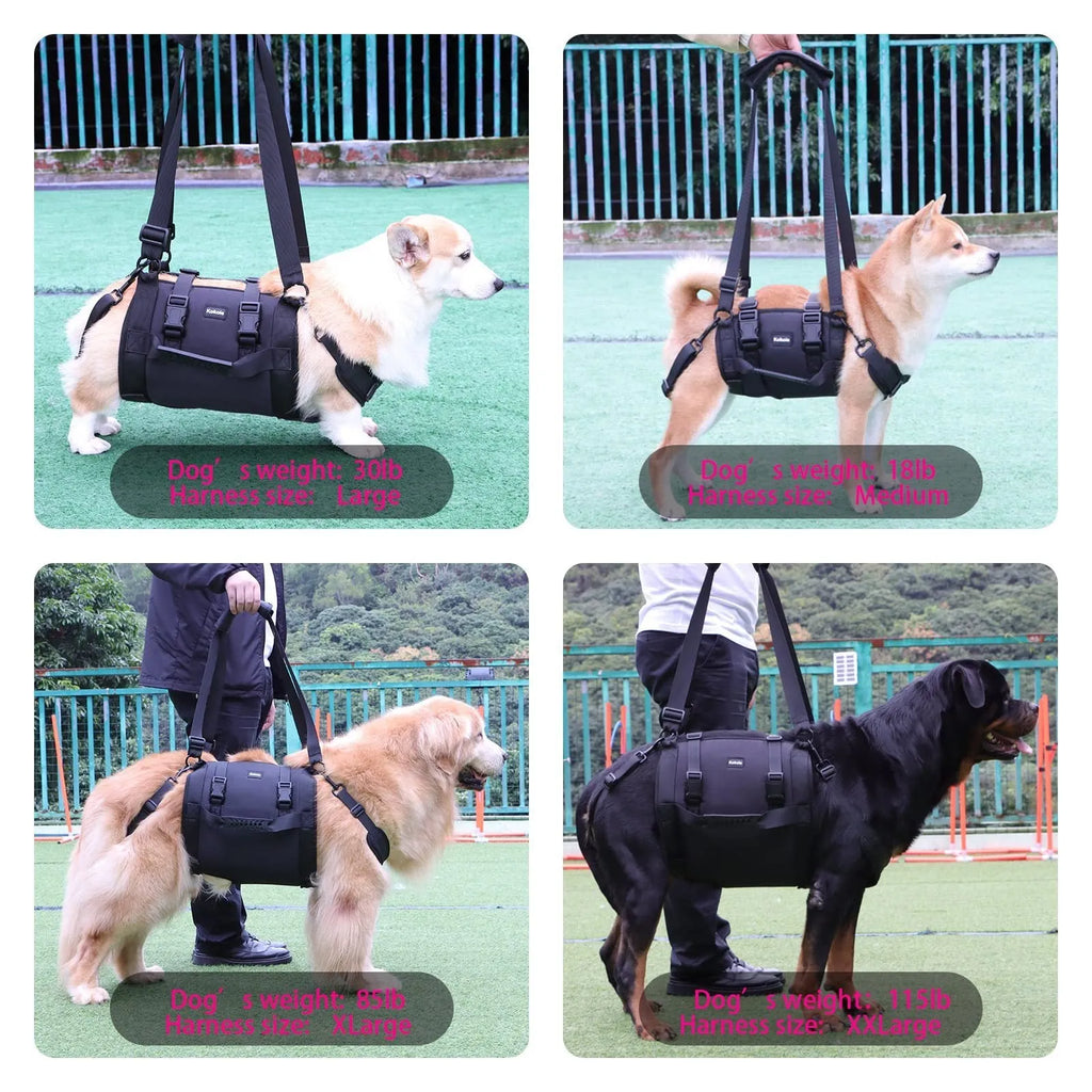 Black Oxford cloth dog harness shown on a dog, highlighting the chest strap and sizing options.