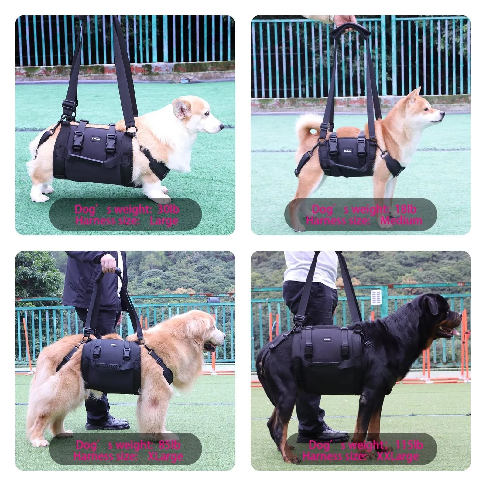 Black Oxford cloth dog harness shown on a dog, highlighting the chest strap and sizing options.