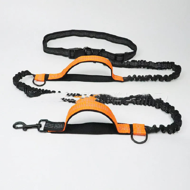 Adjustable pet running belt with extendable leash in fluorescent green, orange, or sapphire blue