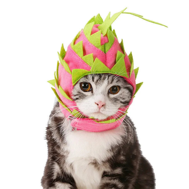 Pitaya fruit design pet hat in pink and green, soft velvet with felt embellishment, side view on a dog