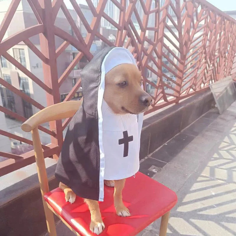 Black and white nun costume cloak for a small dog on Halloween
