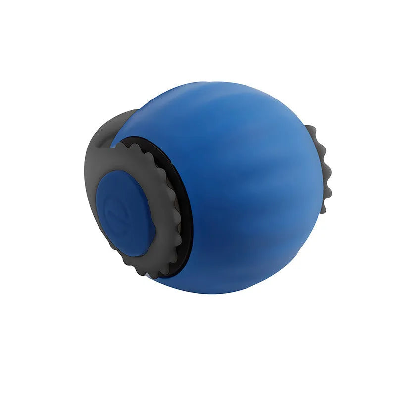 Automatic gravity-sensing cat toy with rolling ball and tail attachment in blue colour with gun grip handle