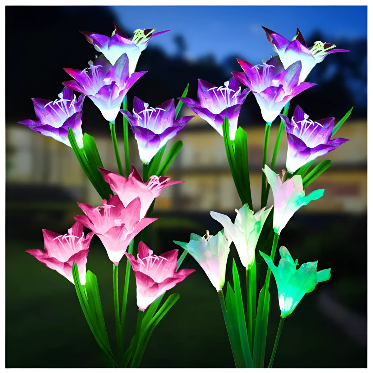 Solar lily flower light 70cm with silk cloth, ABS and 304 stainless steel, IP66 waterproof, purple or red.