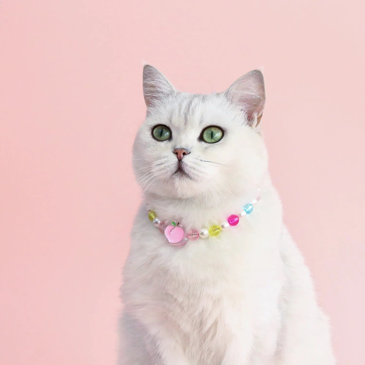 Colourful plastic pearl necklace for small pets on a white background, showing peach, rainbow, and small flower bead design options.