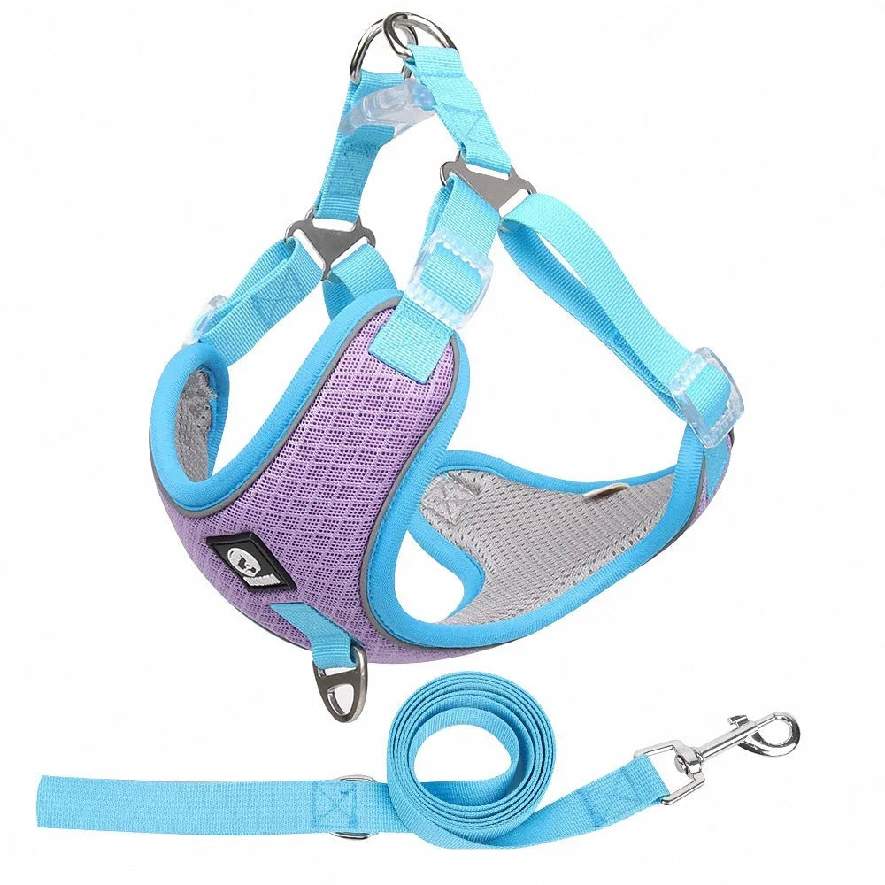 Adjustable soft mesh dog harness with reflective strips in black, shown on a small dog